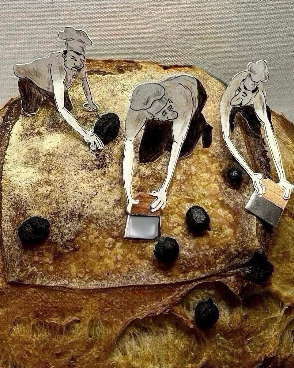 Burnt Raisin Removers